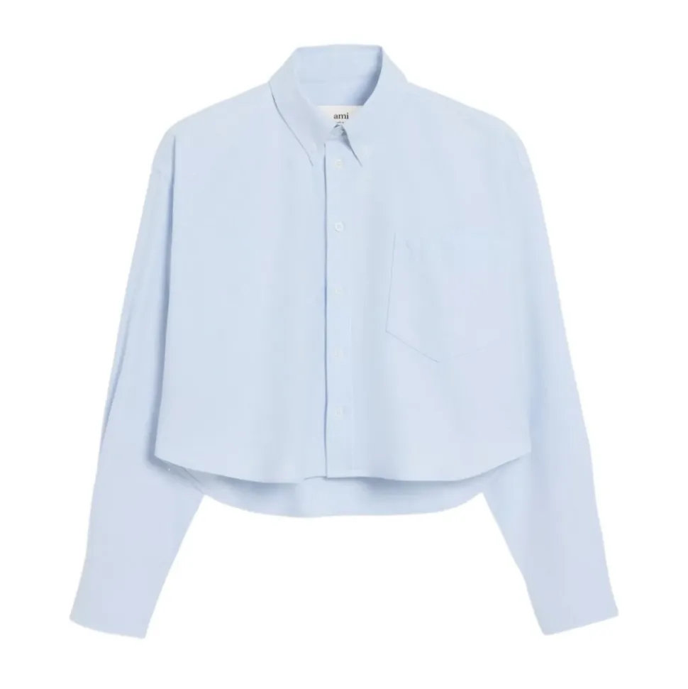 Klares Blaues Button-Down Hemd