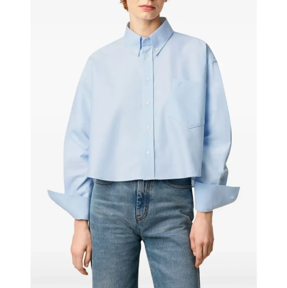 Klares Blaues Button-Down Hemd