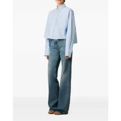 Klares Blaues Button-Down Hemd