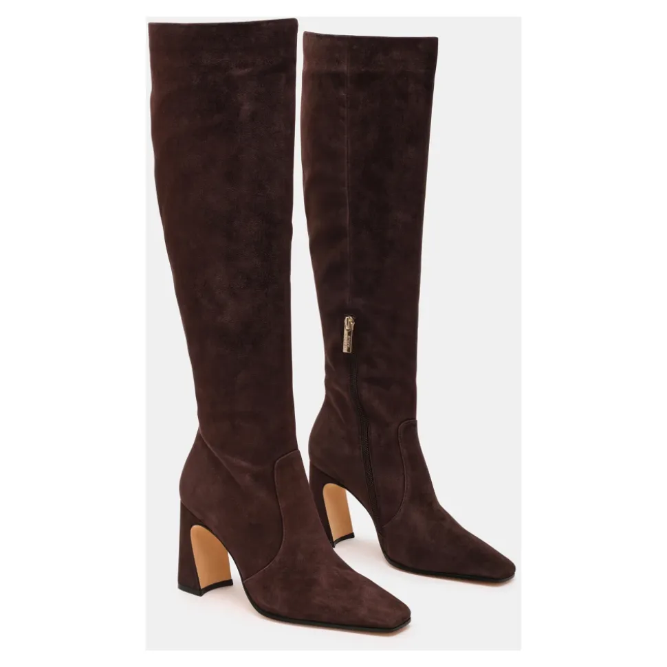 Treasury Boot
